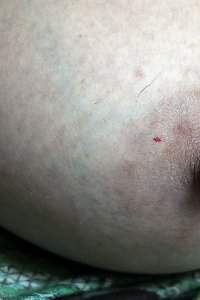passionate bbw nymphs engage in spunky hump